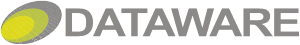 Logo Data Ware srl - cliente Vetrine.net